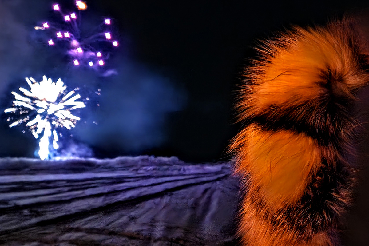 Inuvik’s Year of Festivals: From Sunrise to Muskrat Jamboree