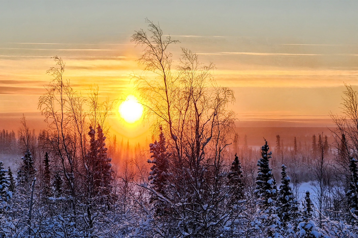 Midnight Sun vs. Northern Lights: The Best Time to Visit Inuvik