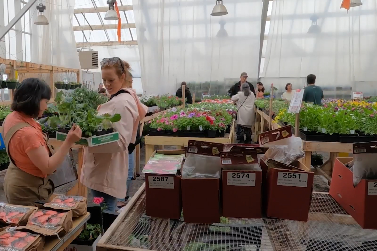 Inuvik Community Greenhouse Harvest Festival